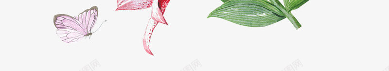 卡通手绘美丽的百合花png免抠素材_新图网 https://ixintu.com 创意 动漫动画 卡通手绘 百合花 简约 美丽的花卉