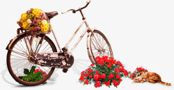 花朵单车猫咪惬意素材