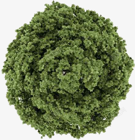 螺旋造型绿树植物角度png免抠素材_新图网 https://ixintu.com 植物 绿树 螺旋 角度 造型