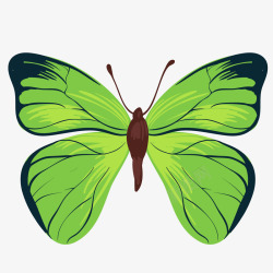绿色的蝴蝶昆虫矢量图素材