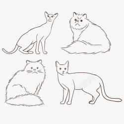 安哥拉猫手绘线条宠物猫咪高清图片