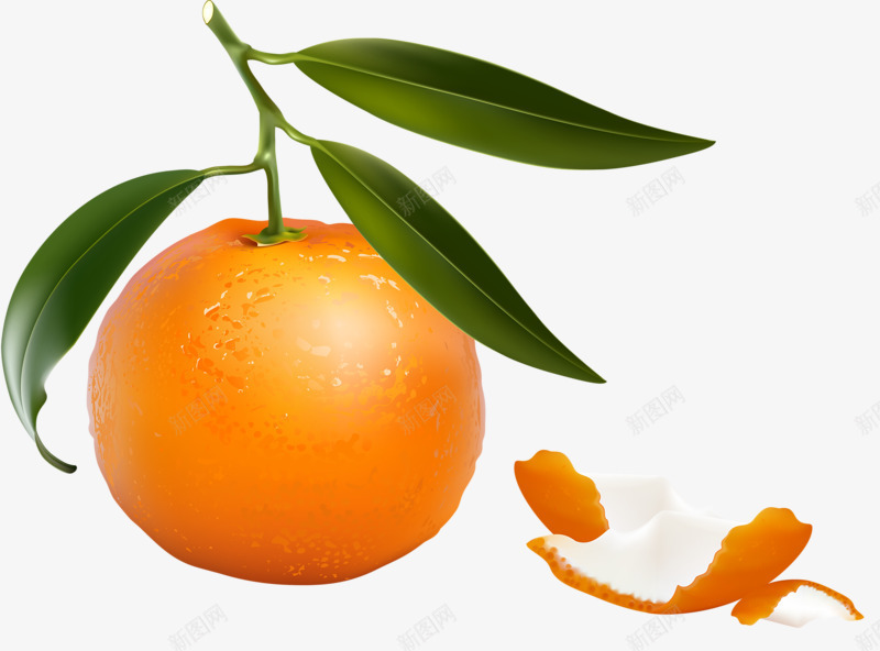 黄色橘子png免抠素材_新图网 https://ixintu.com 橘子皮 橙子 绿叶 黄色