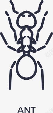 死掉的蚂蚁图标图标