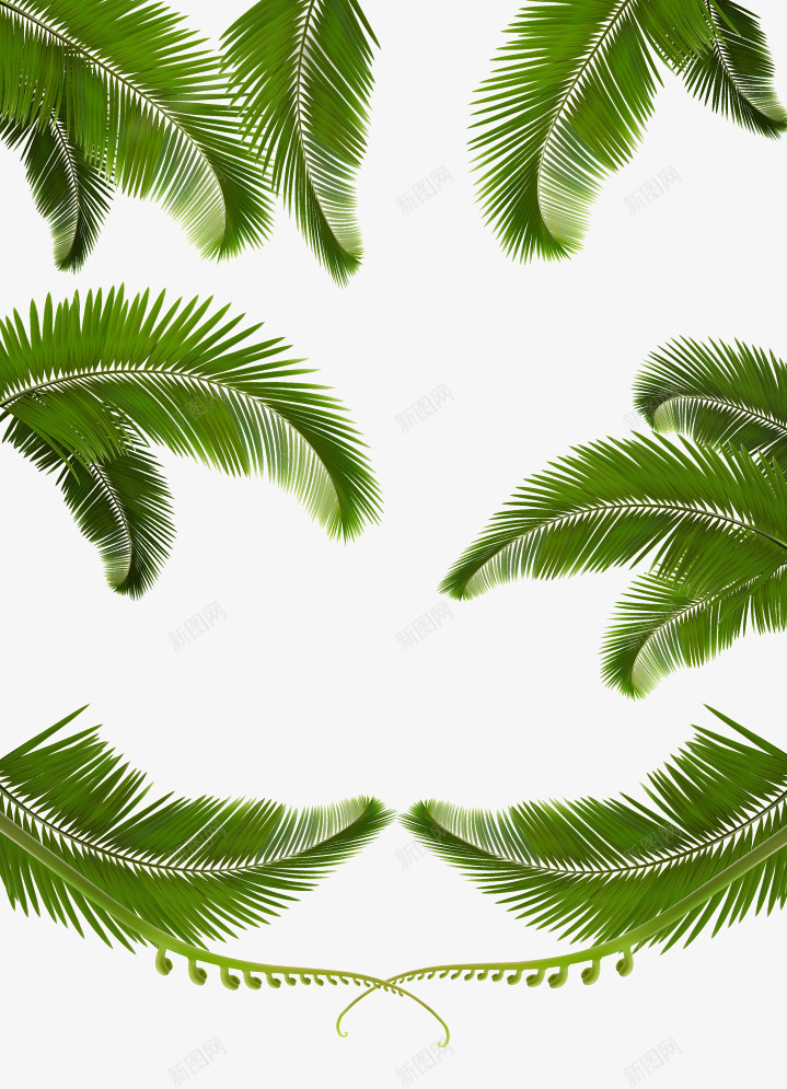 绿色植物棕叶卡通png免抠素材_新图网 https://ixintu.com 卡通 绿色植物