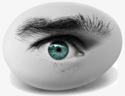 鸡蛋上的眼睛素材