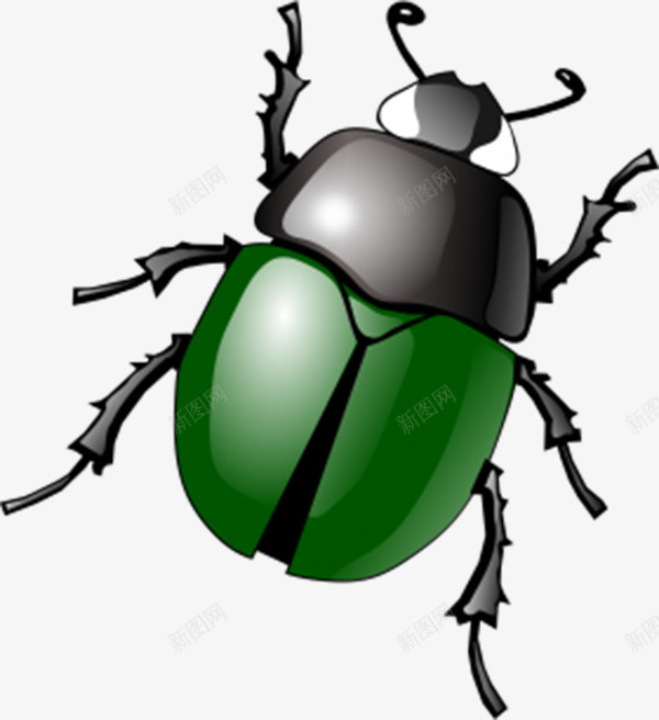 绿色3D甲壳虫png免抠素材_新图网 https://ixintu.com 六脚昆虫 昆虫 硬壳虫 绿色壳子 虫子