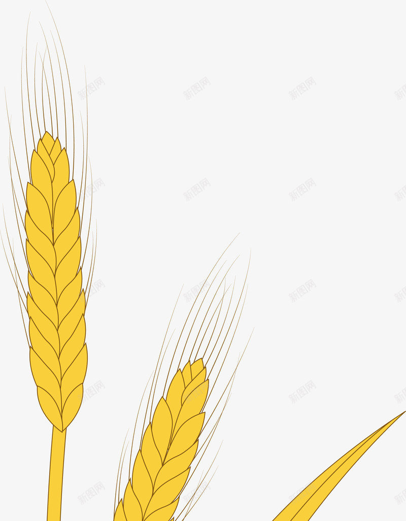 小麦麦穗手绘图图标png_新图网 https://ixintu.com 小麦 手绘植物 手绘麦子 手绘麦穗 稻田 谷物 谷物手绘 麦 麦子 麦穗 麦穗图标