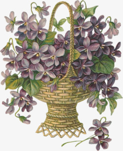 古典怀旧紫色花篮素材