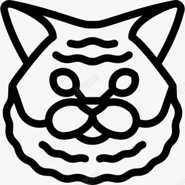 SelkirkRexCat图标图标