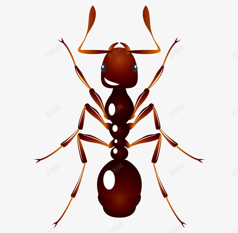 卡通手绘精美红色蚂蚁png免抠素材_新图网 https://ixintu.com 卡通的蚂蚁 手绘的蚂蚁 矢量的昆虫 精美的蚂蚁 红色的蚂蚁 蝼蚁