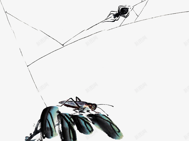植物上的昆虫png免抠素材_新图网 https://ixintu.com 手绘 昆虫 植物 蜘蛛