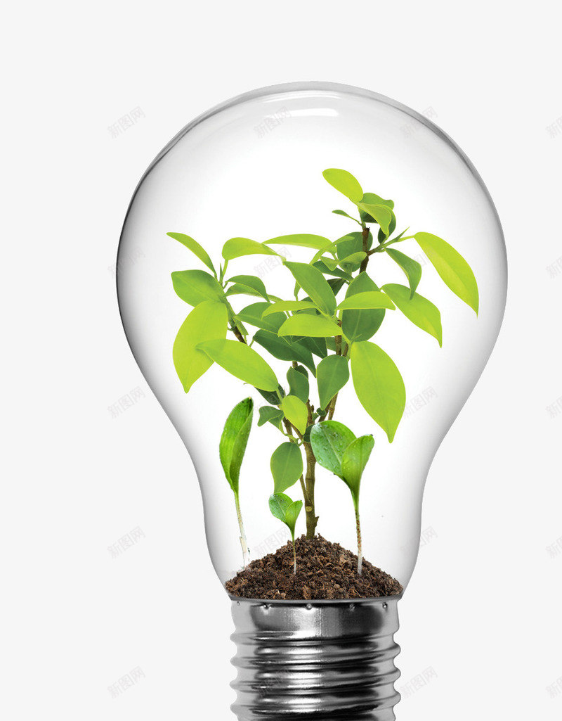 创意灯泡png免抠素材_新图网 https://ixintu.com 创意灯泡图 绿叶灯泡 长植物的灯泡