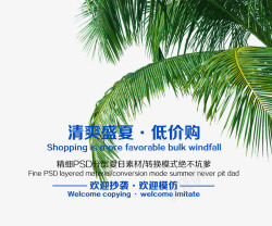 清爽盛夏素材