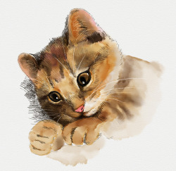 手绘动物可爱插图水彩猫咪插画素材