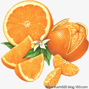 黄色橘子桔子橙子png免抠素材_新图网 https://ixintu.com 桔子 橘子 橙子 黄色