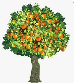 手绘橘子树素材