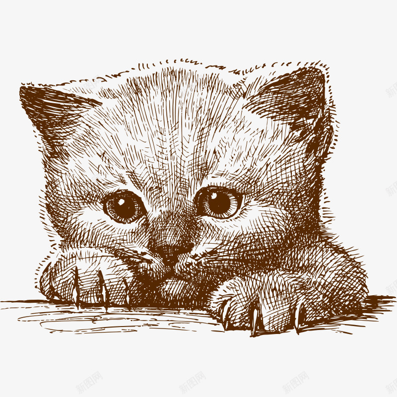 卡通动物动物png免抠素材_新图网 https://ixintu.com 动物 卡通动物 可爱 猫咪 猫猫 萌