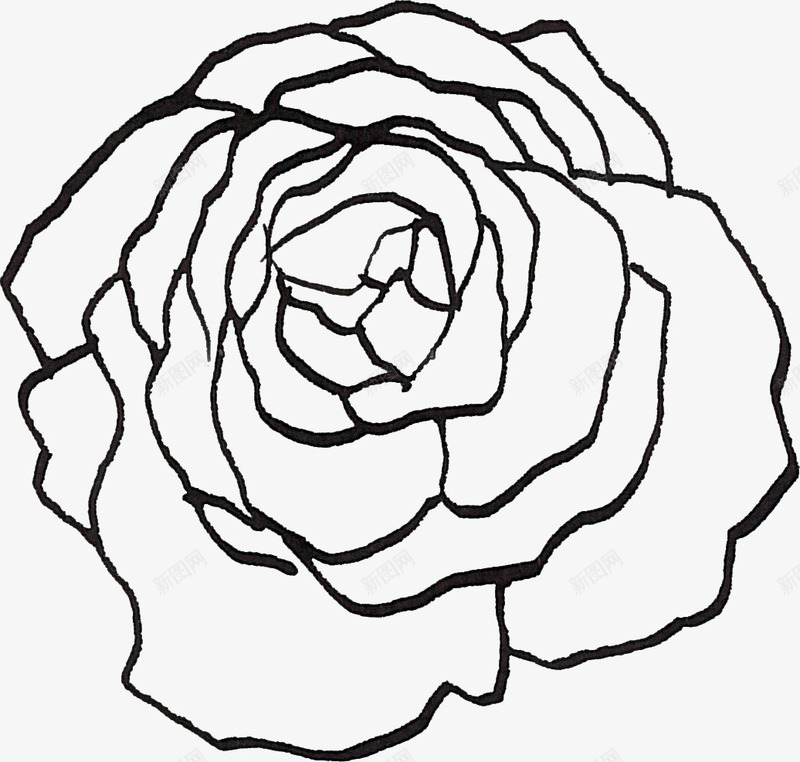 线描花朵图标png_新图网 https://ixintu.com 线描植物 线条 花卉 黑色