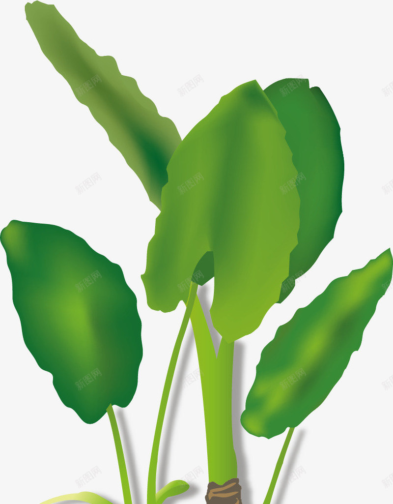 水彩芭蕉花瓶矢量图ai免抠素材_新图网 https://ixintu.com 创意 卡通手绘 植物 水彩 绿色 芭蕉叶子 花瓶 矢量图
