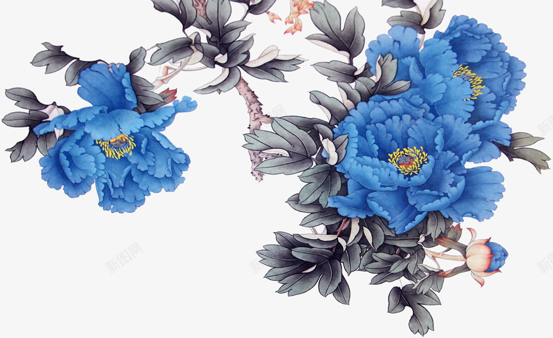 创意合成水彩手绘蓝色的花朵造型png免抠素材_新图网 https://ixintu.com 创意 合成 水彩 花朵 蓝色 造型