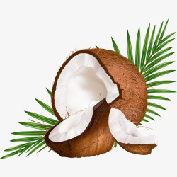 热带椰子果肉素材