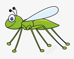 昆虫蚱蜢蚂蚱高清图片