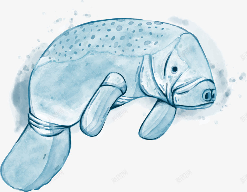 蓝色水彩手绘海狮png免抠素材_新图网 https://ixintu.com 6月8号 世界海洋日 大海 水彩海狮 海狮表演 自然 蓝色海狮