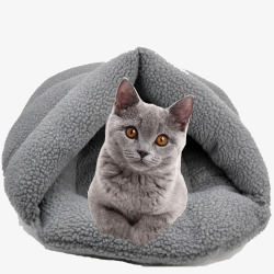 灰色宠物猫咪素材
