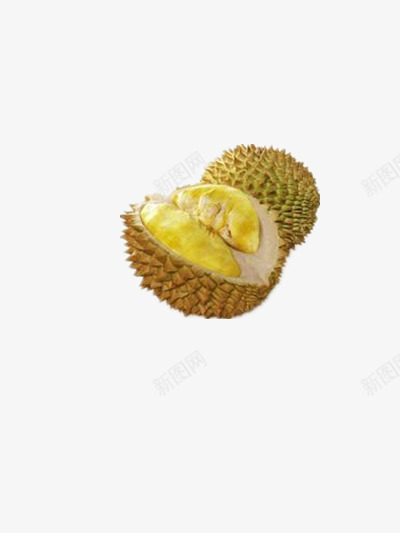 榴莲png免抠素材_新图网 https://ixintu.com 好吃 热带水果 美食 臭味 食物 马来西亚榴莲