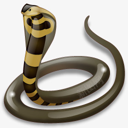 眼镜蛇图标png_新图网 https://ixintu.com 眼镜蛇 蛇