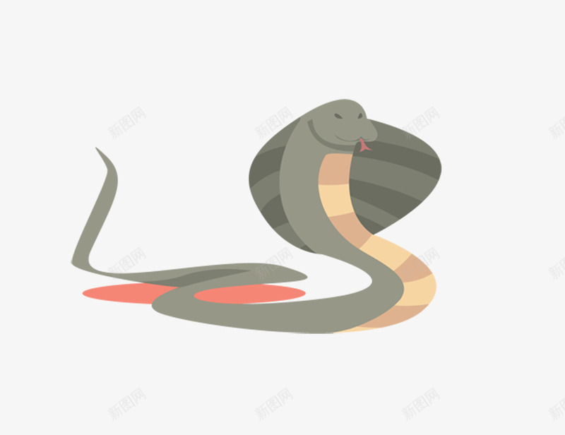 卡通眼镜蛇png免抠素材_新图网 https://ixintu.com 儿童风格 卡通 毒蛇 眼镜蛇 蛇