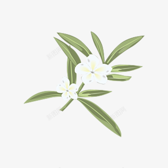 绿色叶子上的小白花png免抠素材_新图网 https://ixintu.com 叶子 手绘叶子 植物 绿叶 绿植 花卉 花朵