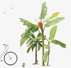 手绘树与自行车植物高清图片