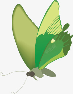 美丽的绿色蝴蝶矢量图素材