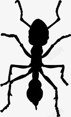 蚂蚁触角图标图标