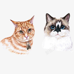 手绘水彩可爱猫咪素材
