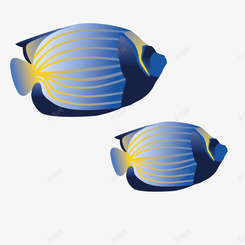 蓝色热带鱼png免抠素材_新图网 https://ixintu.com 图案 热带鱼 蓝色