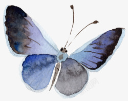 飞舞彩蝶手绘水彩蓝色蝴蝶高清图片