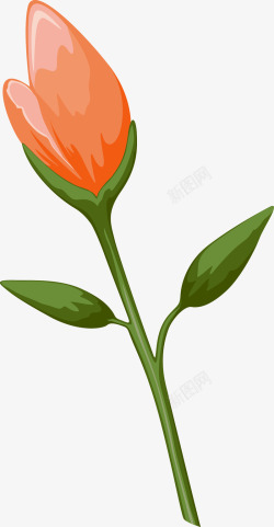 水彩一枝花橘色花朵高清图片