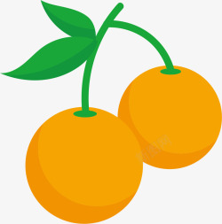 纯色黄色柑橘果实矢量图素材