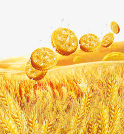 金色燕麦小麦麦子饼干素材