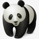 熊猫动物熊中国中国人东方动物素材