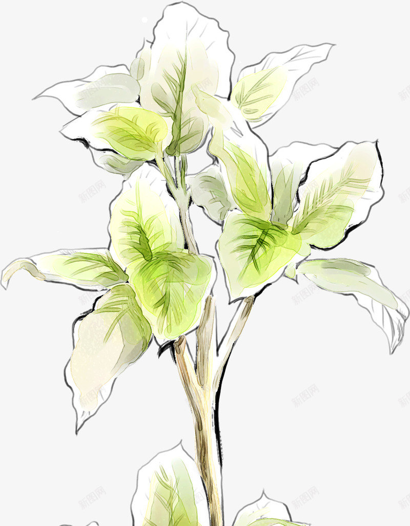 白色百合植物室内摆件png免抠素材_新图网 https://ixintu.com 室内 摆件 植物 白色 百合