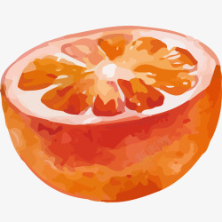 半个果实半个橙子水彩插画矢量图高清图片