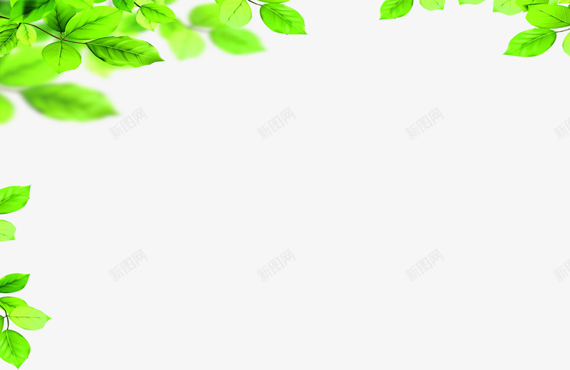 绿色清爽树叶装饰png免抠素材_新图网 https://ixintu.com 树叶 清爽 绿色 装饰