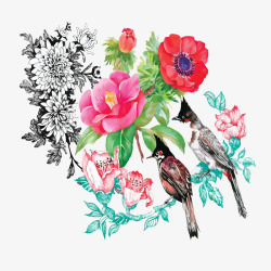 鸟儿与花朵素材