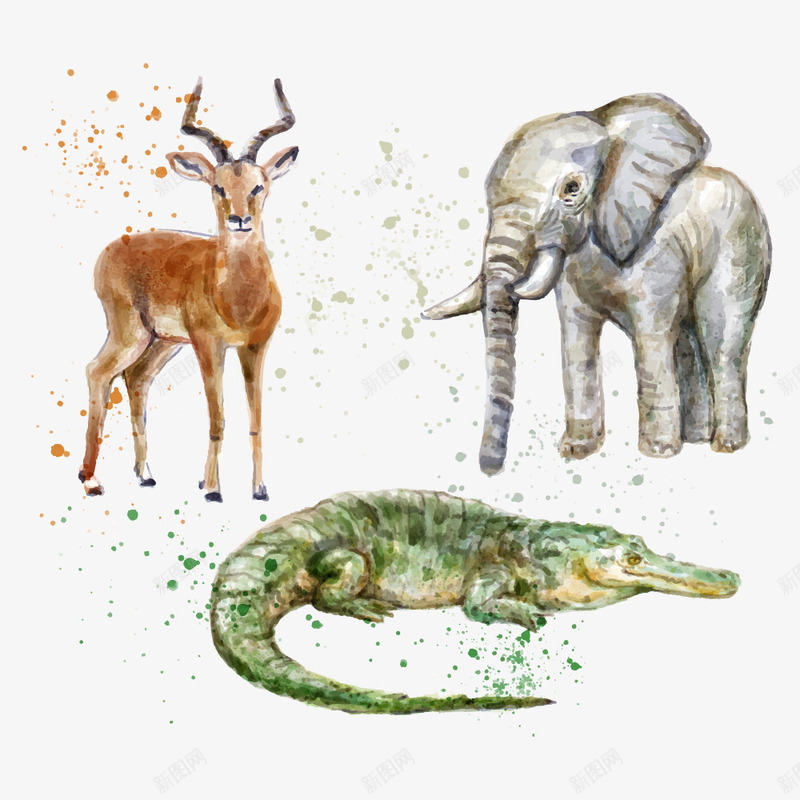 热带动物png免抠素材_新图网 https://ixintu.com 动物 卡通动物 大象 热带动物 鳄鱼 鹿