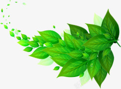 绿色时尚清爽树叶装饰素材