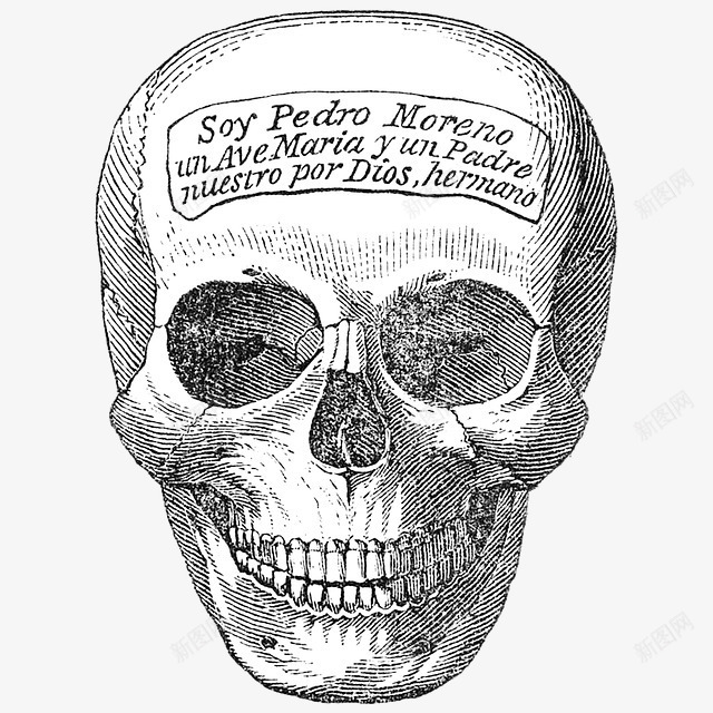 骷髅头手绘png免抠素材_新图网 https://ixintu.com 恐怖 手绘 线描 英文 骷髅