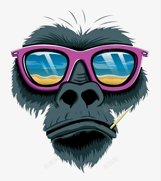 戴眼镜的猴子png免抠素材_新图网 https://ixintu.com 毛发 牙签 猴子 眼镜